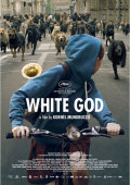 white god
