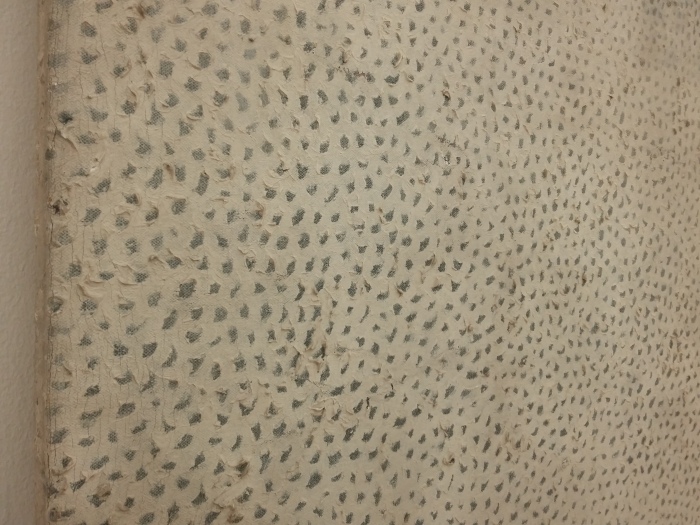 Yayoi Kusama, No. B White, 1959